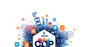 CDPs: Driving Customer Engagement CDPs: Driving Customer Engagement